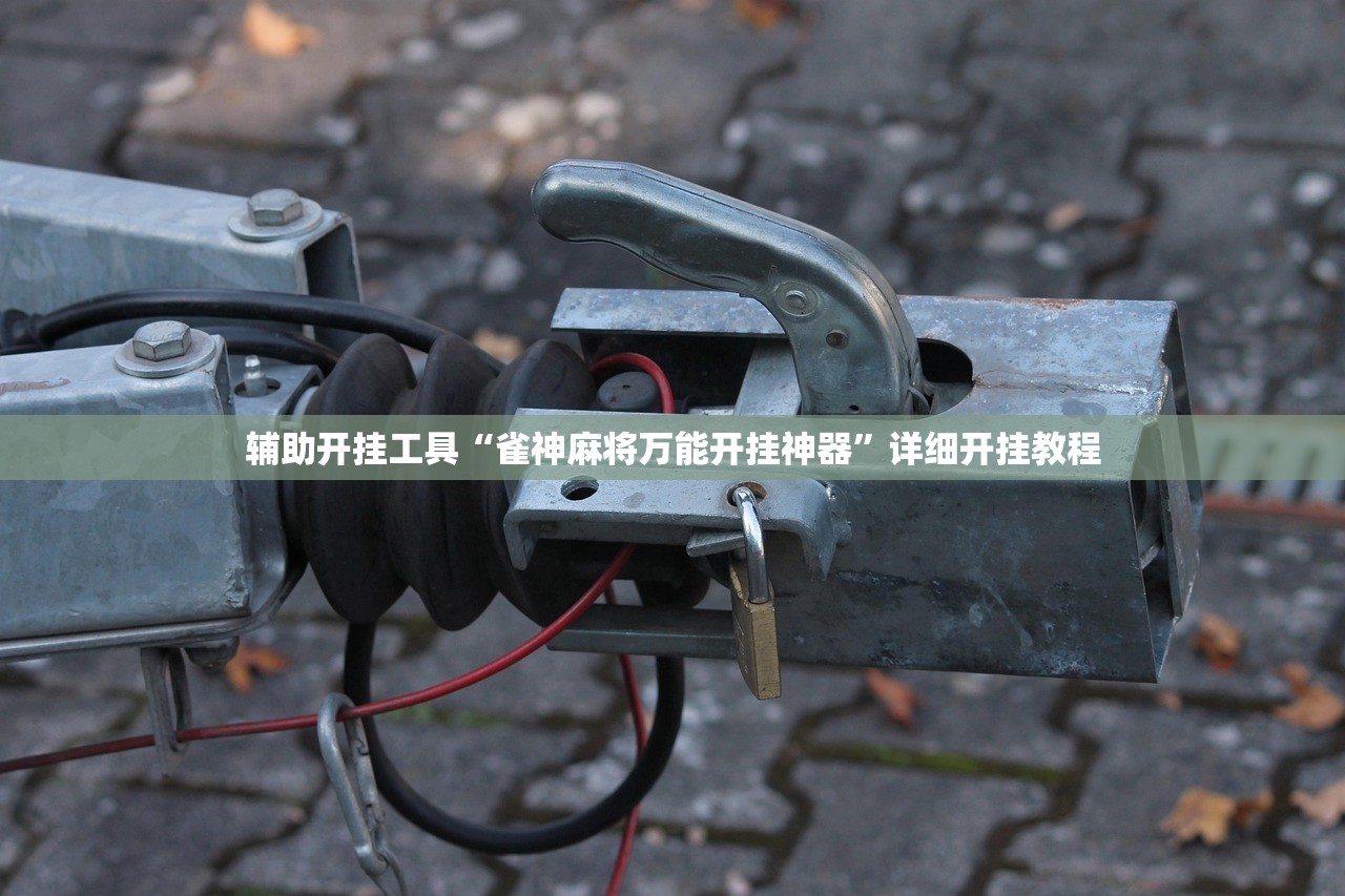玩家辅助神器：微信麻将有挂吗”详细外挂透视辅助软件教程