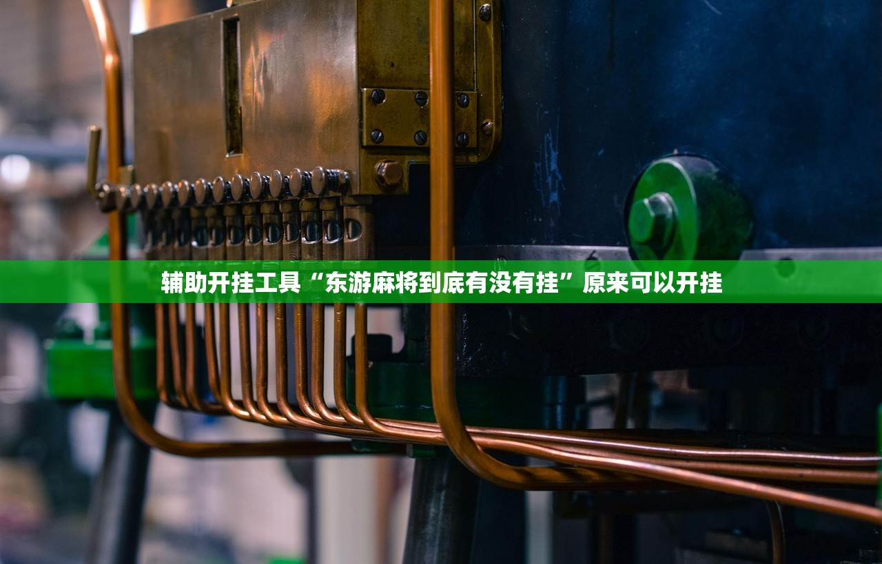 辅助开挂工具“东游麻将到底有没有挂”原来可以开挂