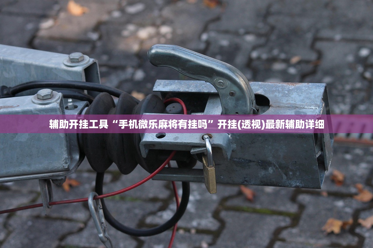 辅助开挂工具“手机微乐麻将有挂吗”开挂(透视)最新辅助详细