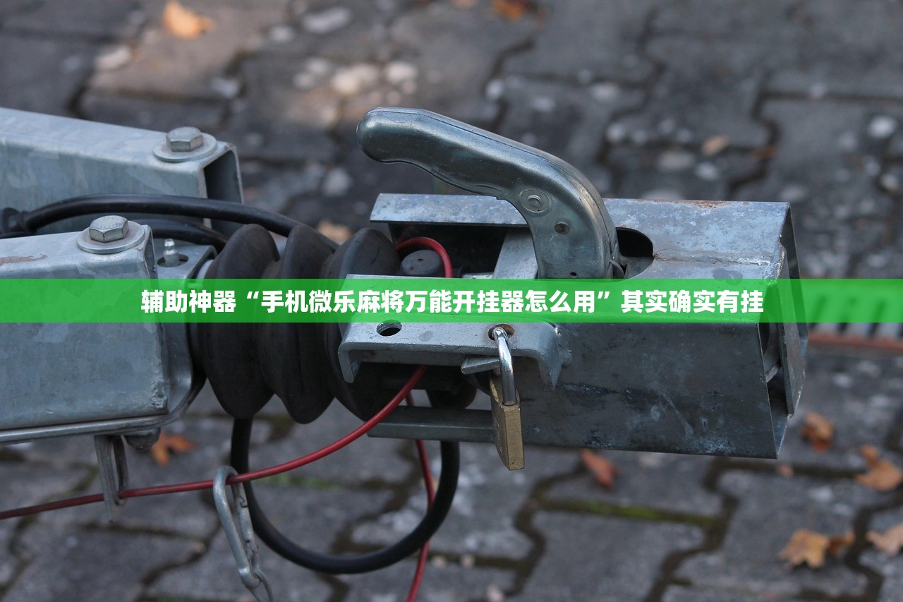 辅助神器“手机微乐麻将万能开挂器怎么用”其实确实有挂