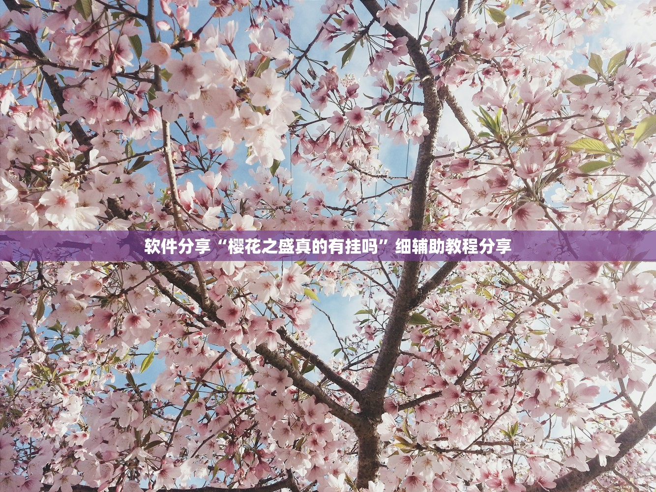 必备科技“微乐跑得快记牌器怎么用”(免费)开挂辅助教学(最新辅助开挂教程)