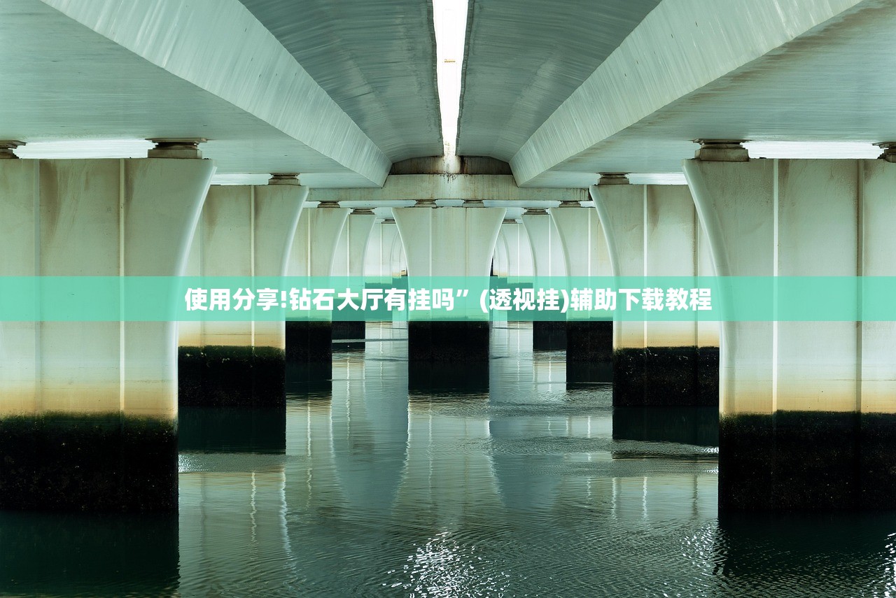 使用分享!钻石大厅有挂吗”(透视挂)辅助下载教程