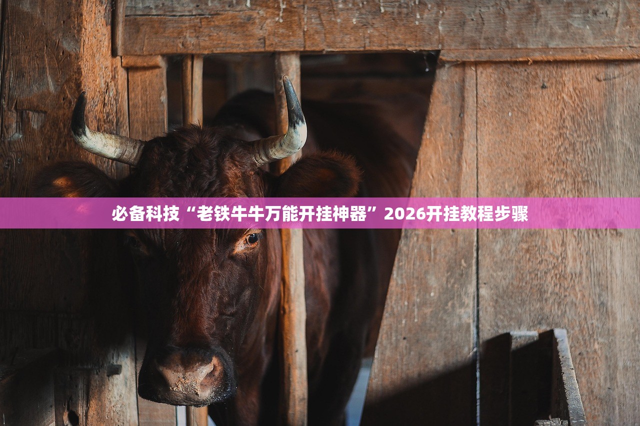 玩家辅助神器：决战卡五星万能开挂神器”原来可以开挂