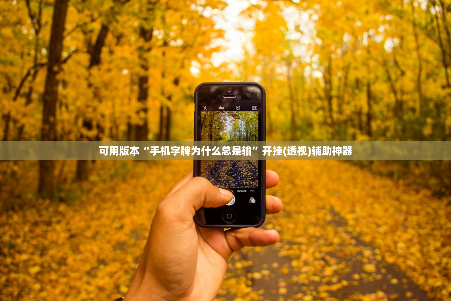 可用版本“手机字牌为什么总是输	”开挂(透视)辅助神器