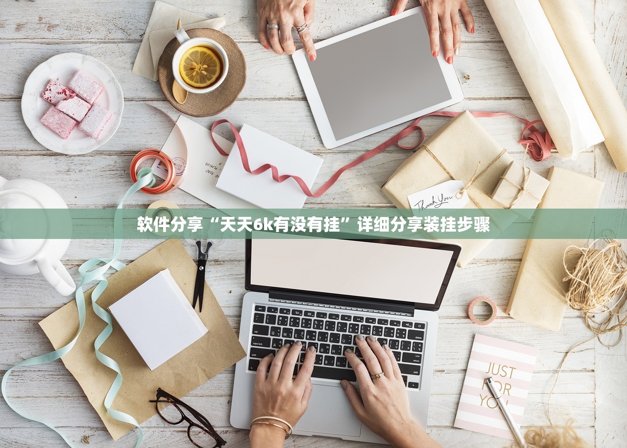软件分享“天天6k有没有挂	”详细分享装挂步骤