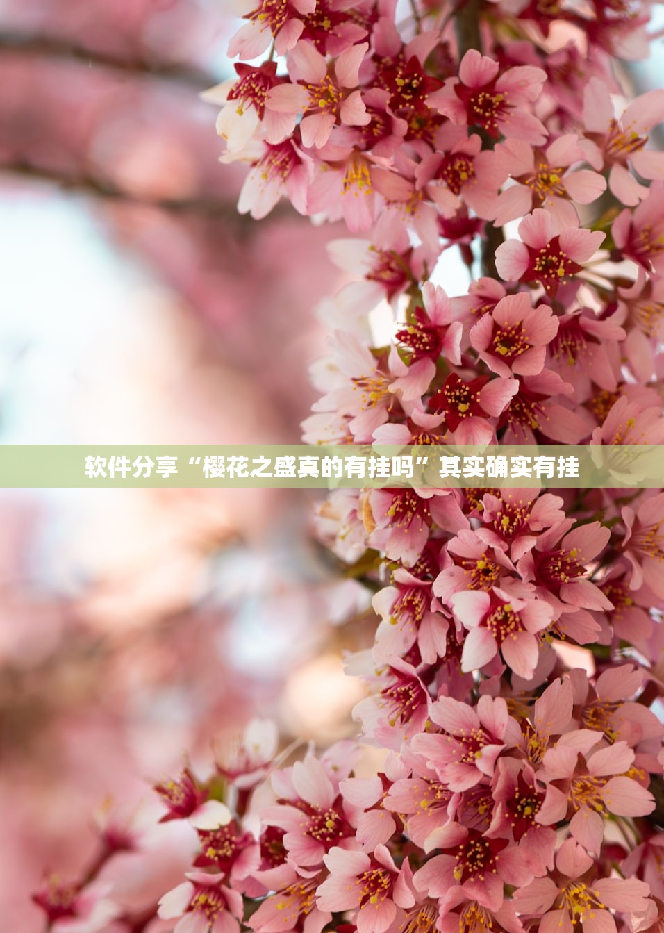 云南增19例阳性/云南又增一例