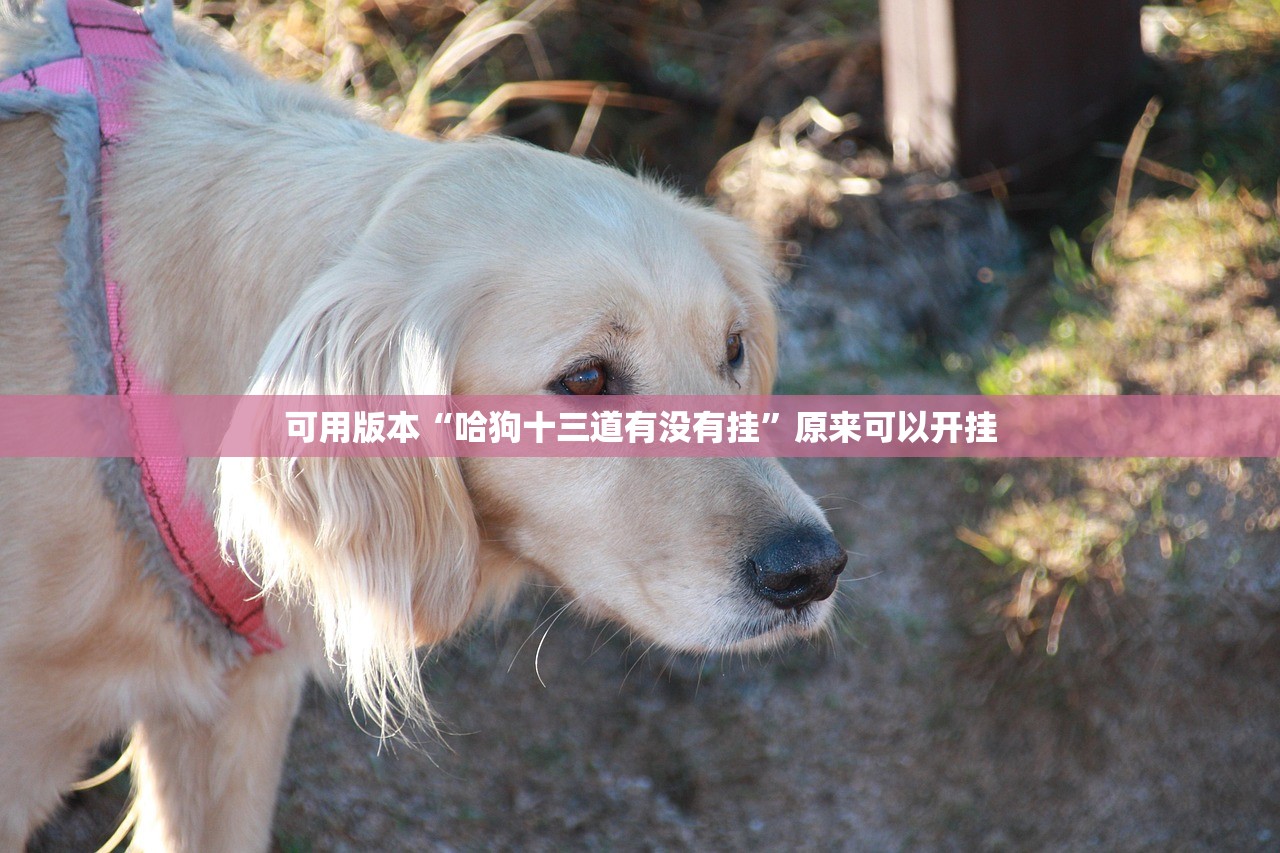分享实测辅助“微乐浙江麻将有没有挂”详细开挂教程