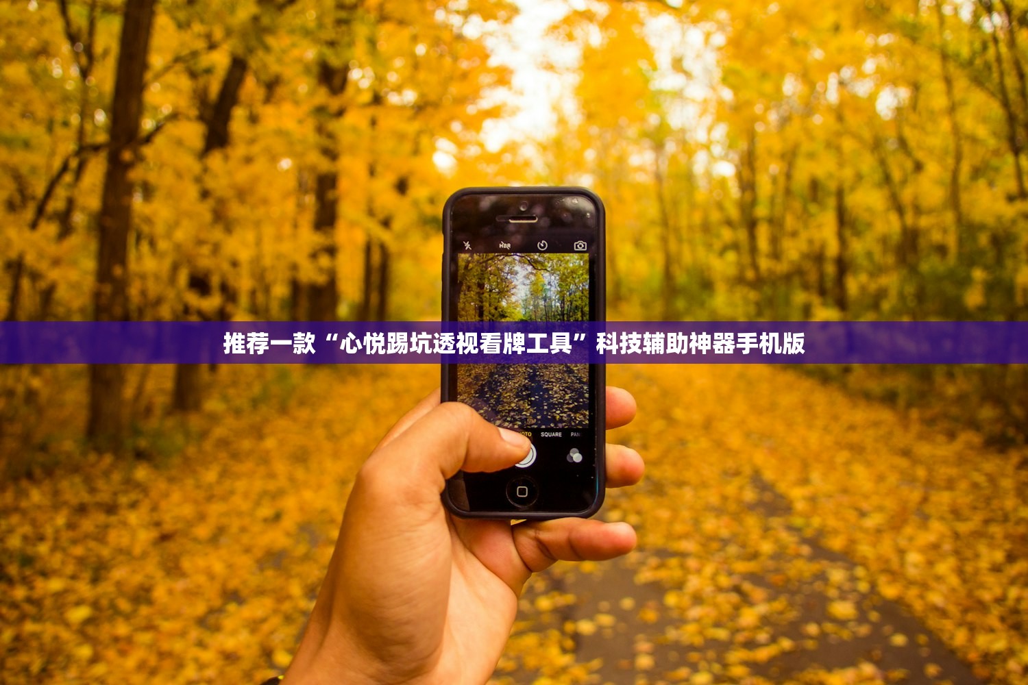 推荐一款“心悦踢坑透视看牌工具”科技辅助神器手机版