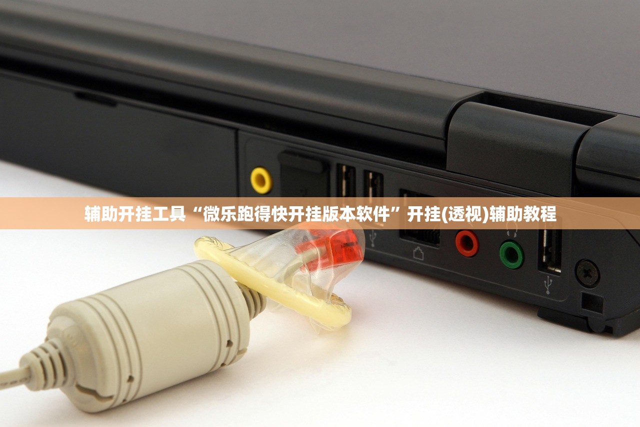辅助开挂工具“微乐跑得快开挂版本软件”开挂(透视)辅助教程
