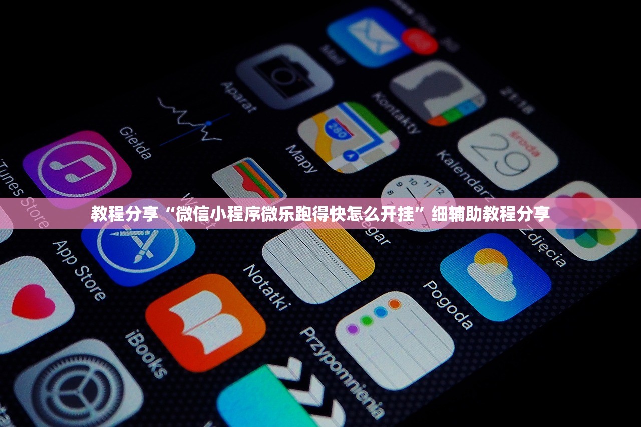 软件分享“乐清十三张有挂吗(透视)”开挂辅助脚本+详细开挂安装教程
