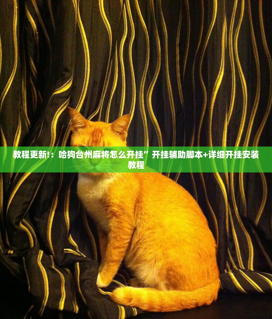 教程更新!：哈狗台州麻将怎么开挂”开挂辅助脚本+详细开挂安装教程