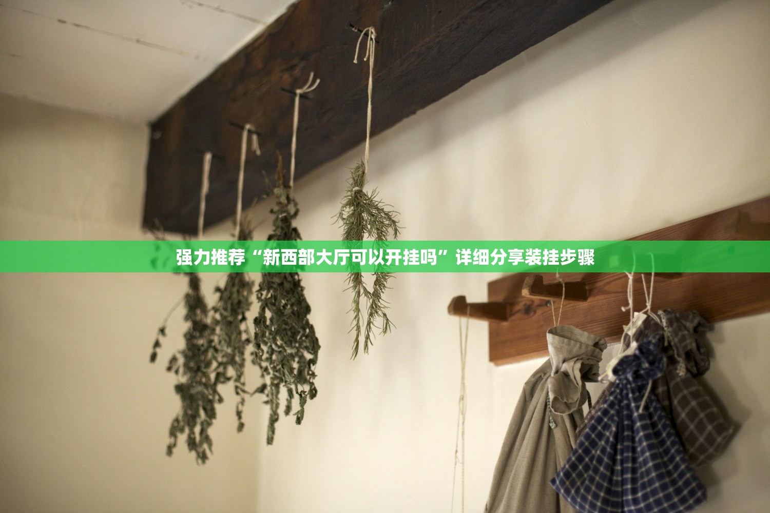 教程辅助!“皇冠十三水辅助器链接”科技辅助神器手机版