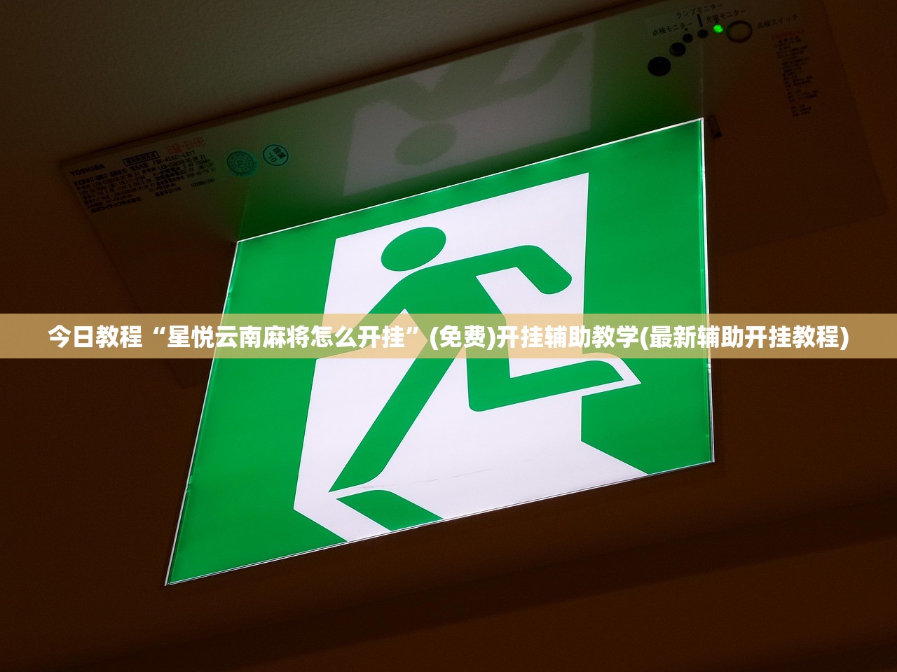 今日教程“微乐亲友房通用挂(透视)”开挂辅助脚本+详细开挂安装教程