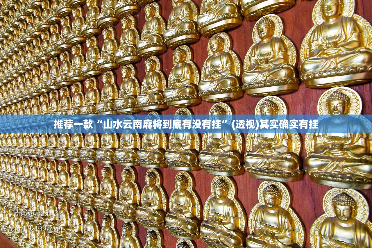 推荐一款“山水云南麻将到底有没有挂”(透视)其实确实有挂