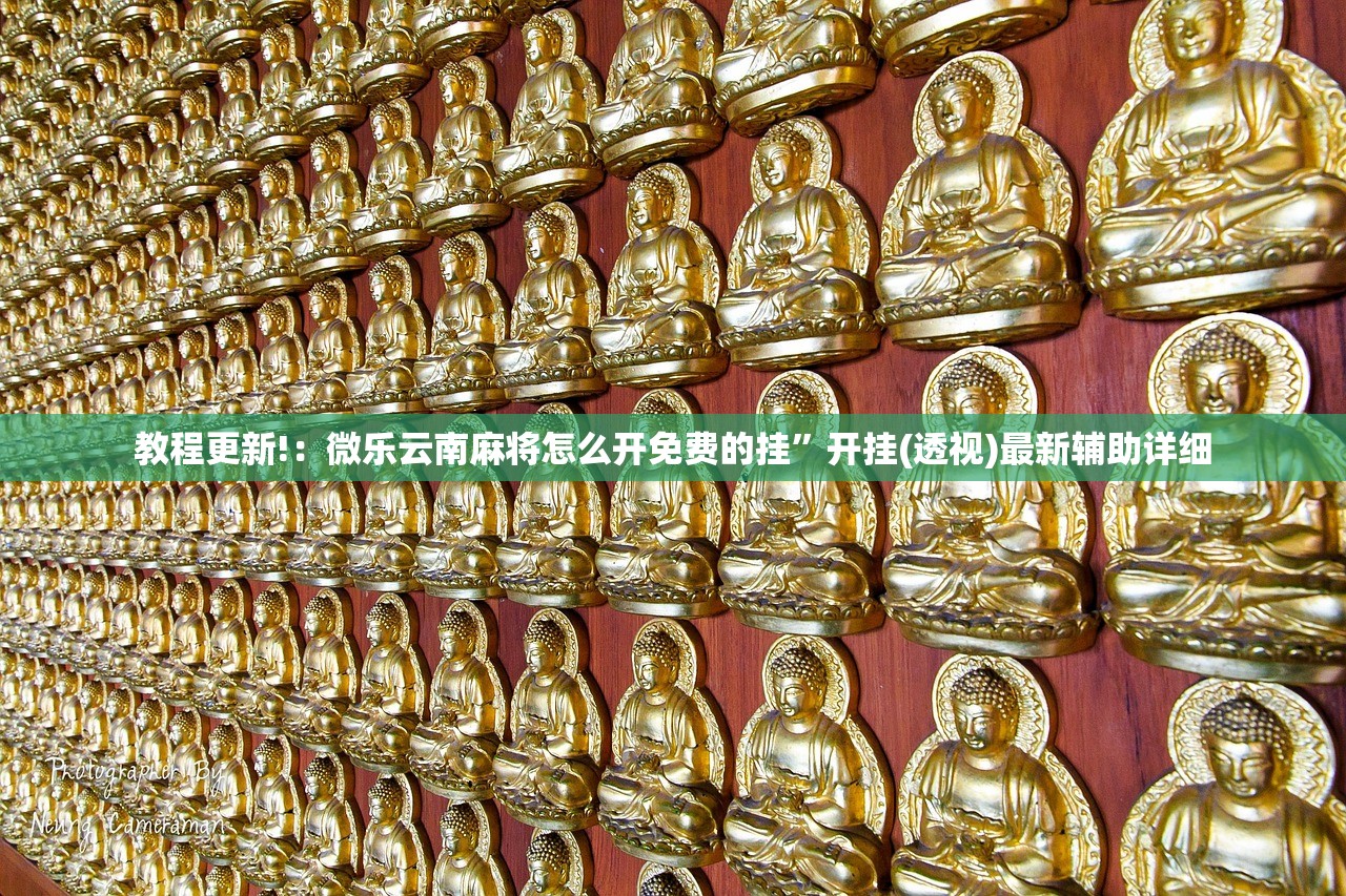 2026首发科技“上品长乐十三水外卦辅助软件下载”其实确实有挂