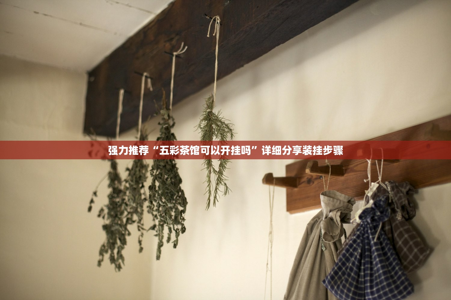 强力推荐“五彩茶馆可以开挂吗”详细分享装挂步骤