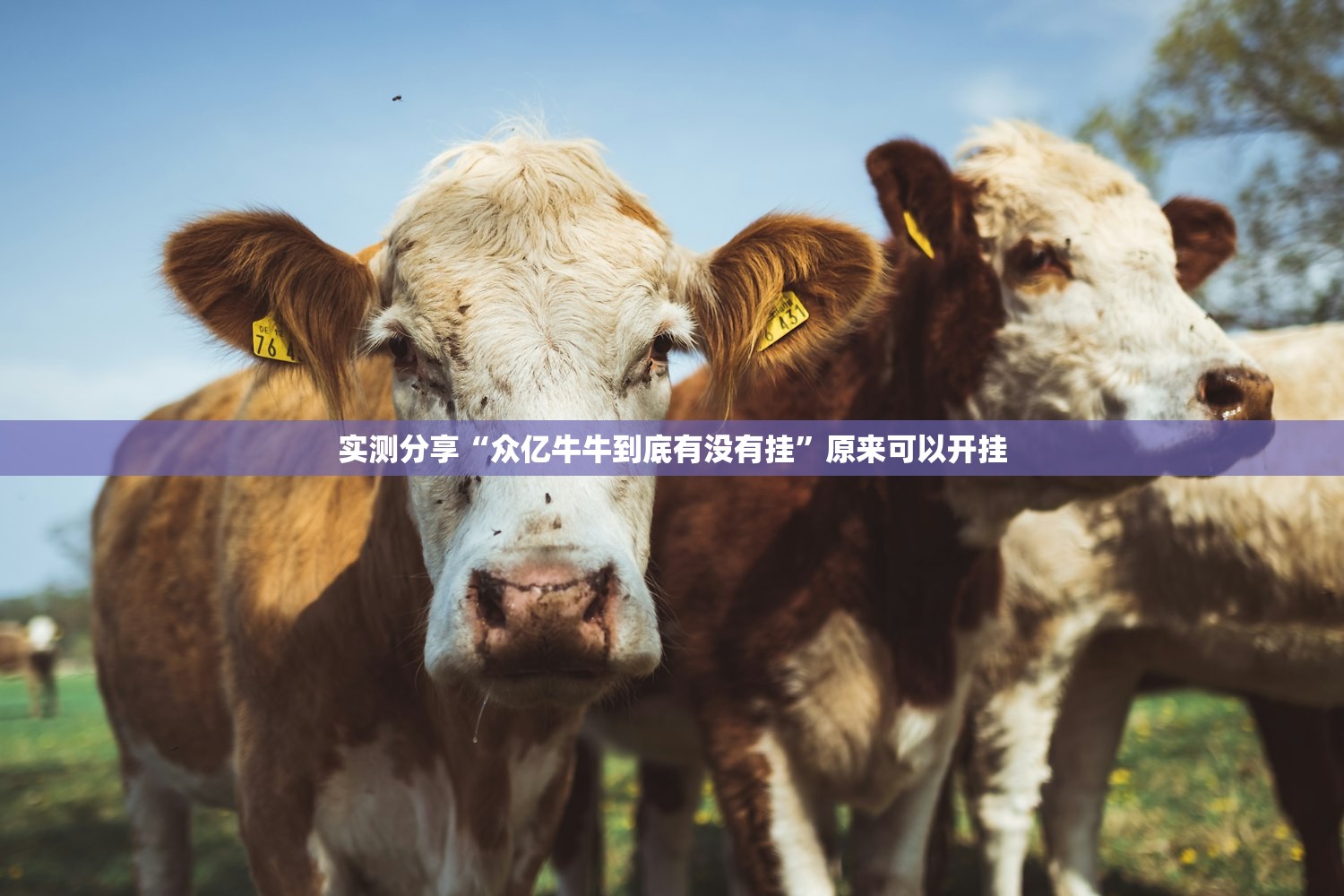 教程辅助!掌心麻将圈怎么开挂在哪下载”开挂(透视)辅助教程