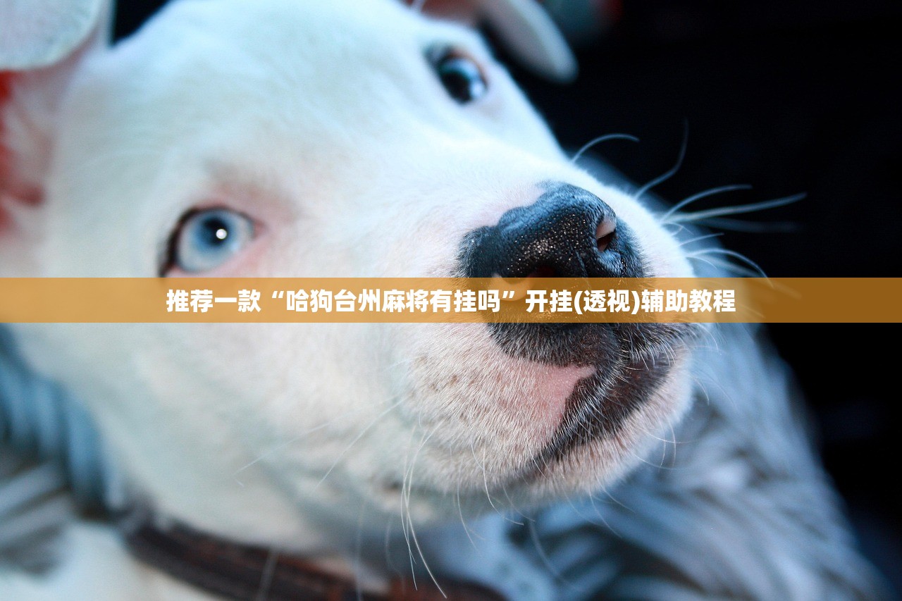 推荐一款“五常填大坑挂怎么弄(透视)”开挂辅助脚本+详细开挂安装教程