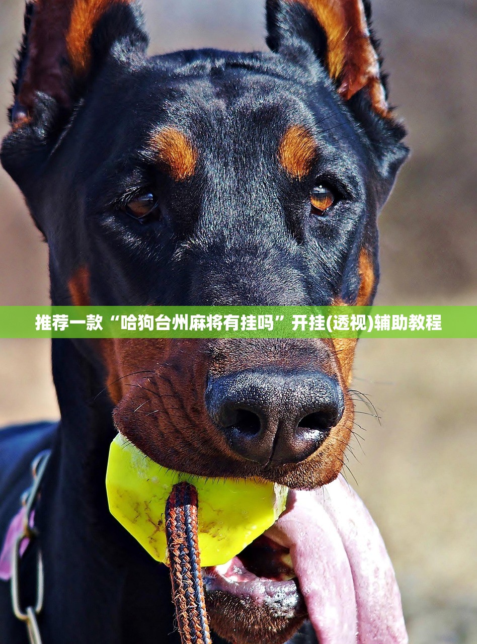 推荐一款“哈狗台州麻将有挂吗”开挂(透视)辅助教程