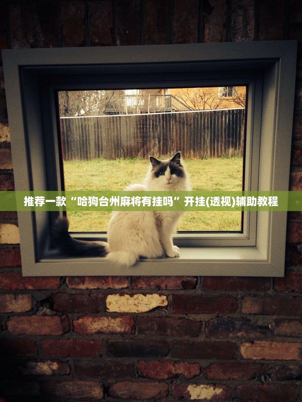 推荐一款“哈狗台州麻将有挂吗”开挂(透视)辅助教程