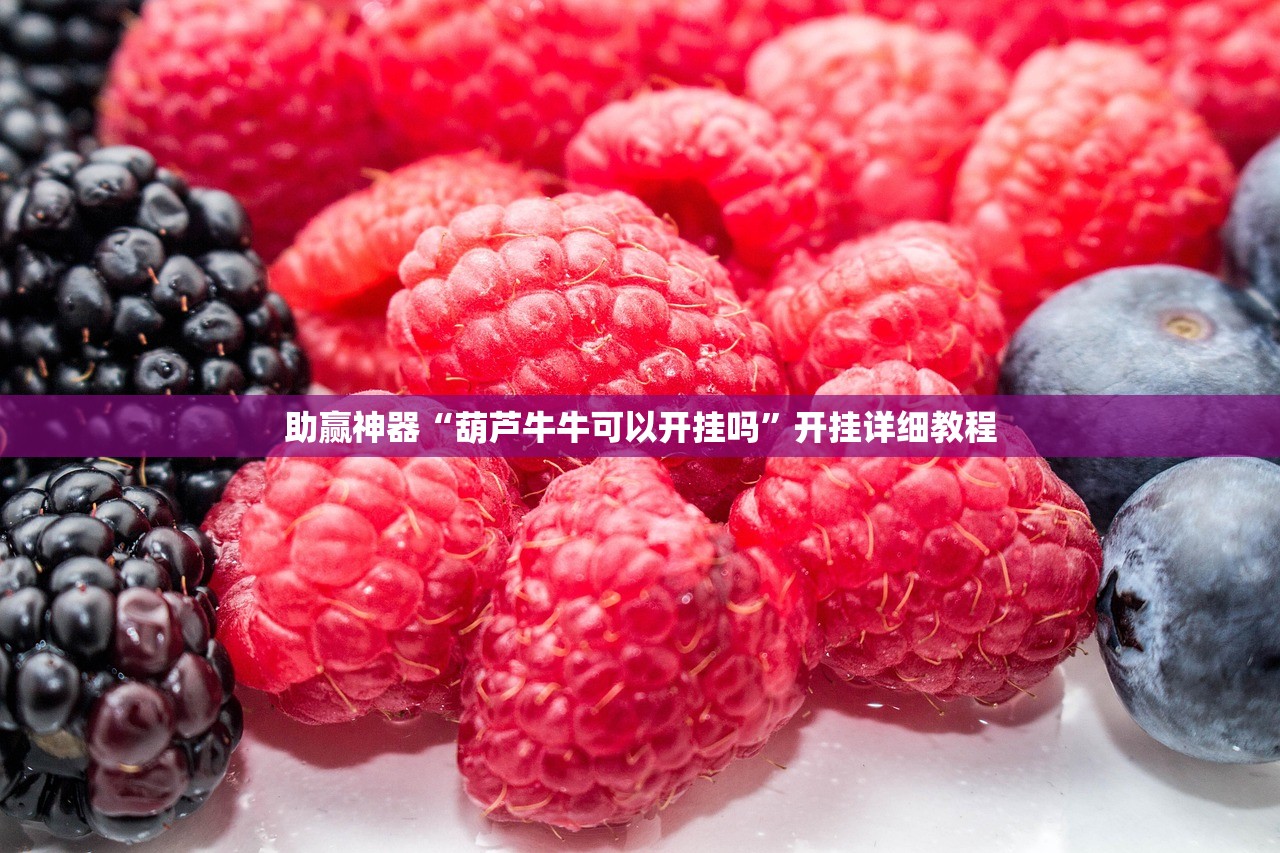 今日教程“胡乐阳泉麻将开挂”开挂(透视)最新辅助详细