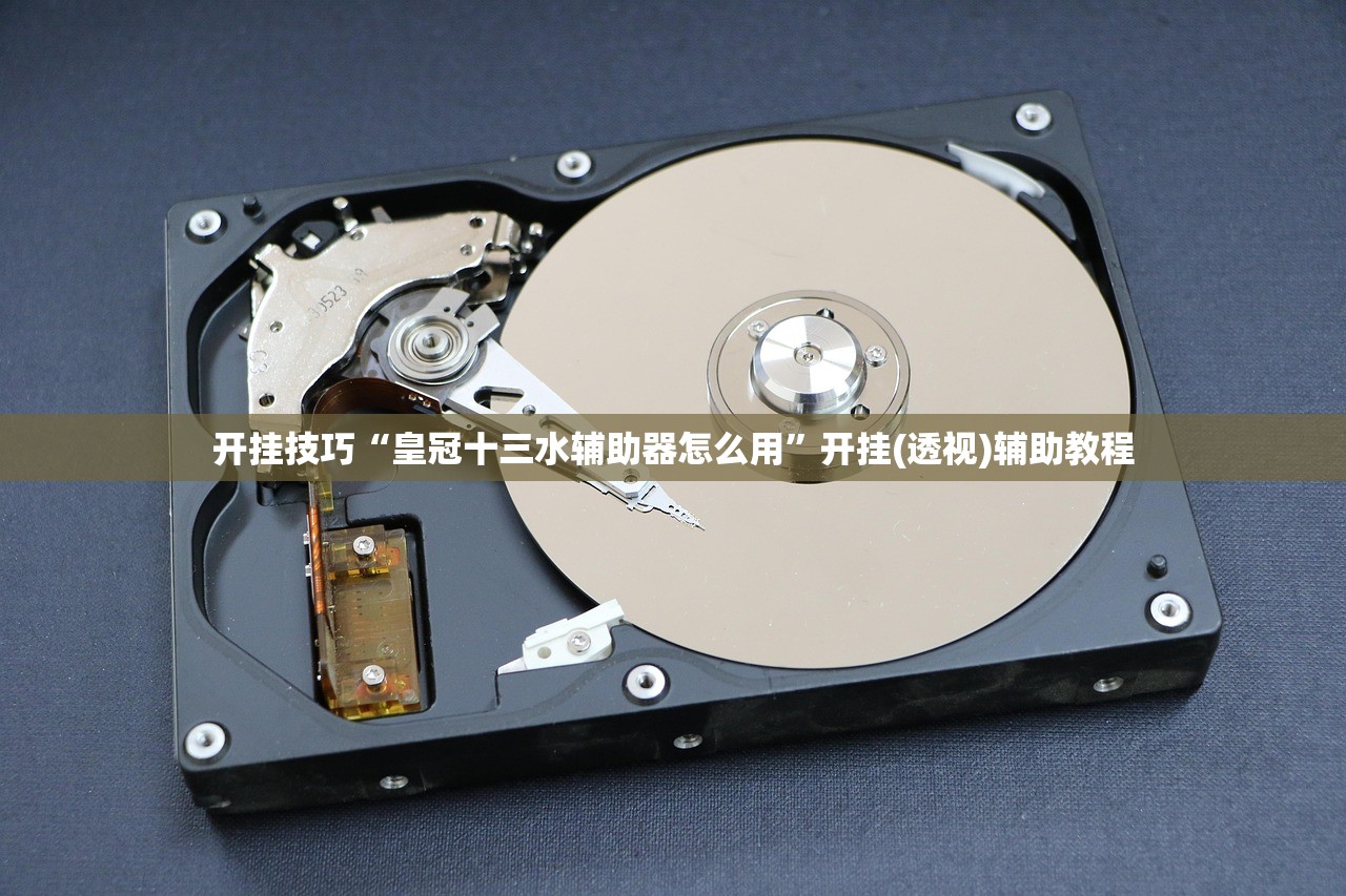 开挂技巧“皇冠十三水辅助器怎么用”开挂(透视)辅助教程