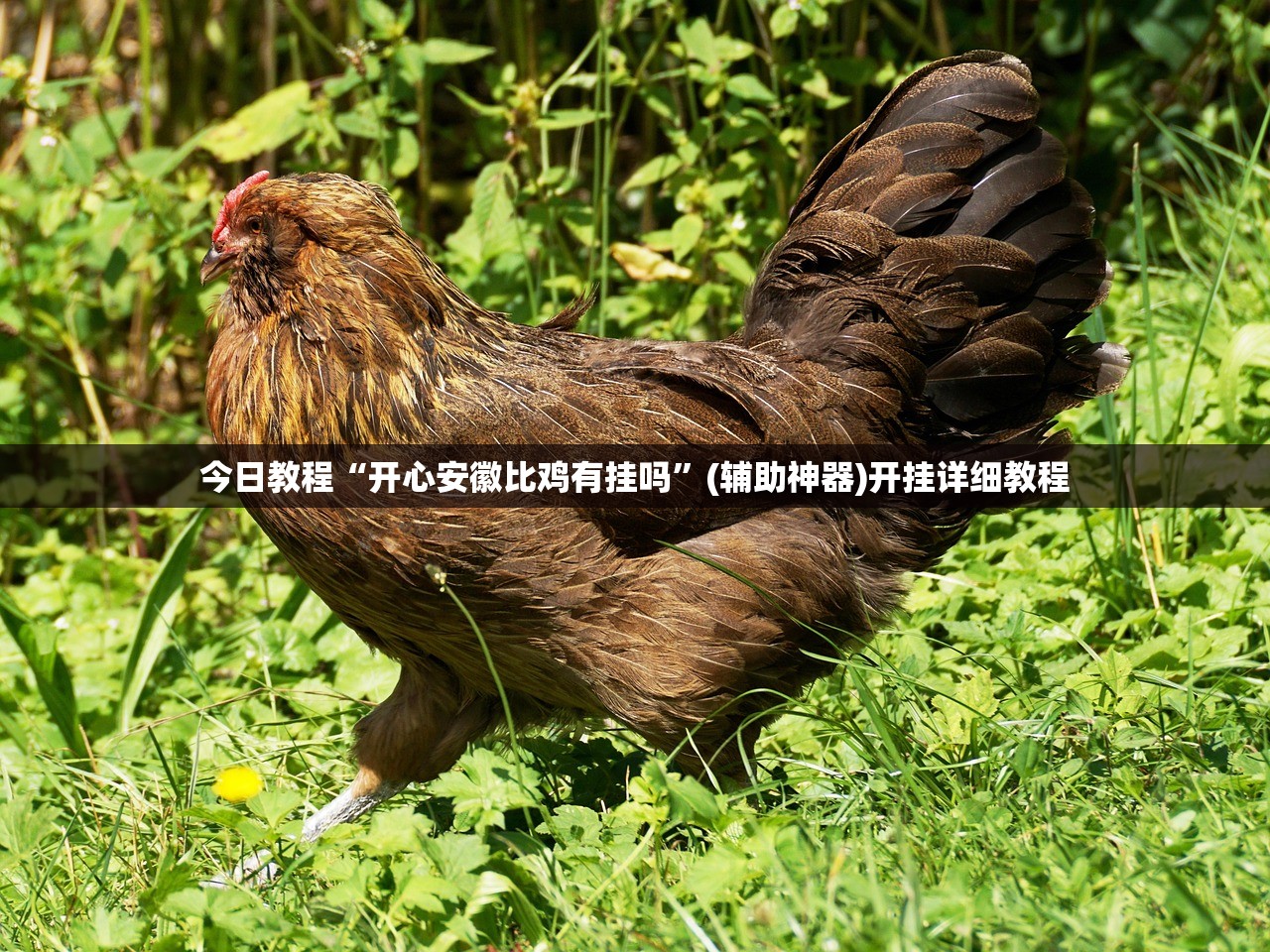 西安疫情最新通报（西安疫情 最新）